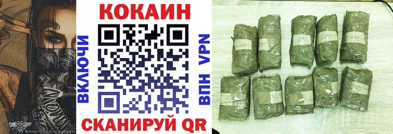 Cocaine FishScale  купить закладку  Соликамск 