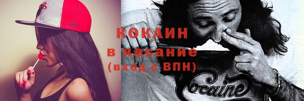сатива Алексин