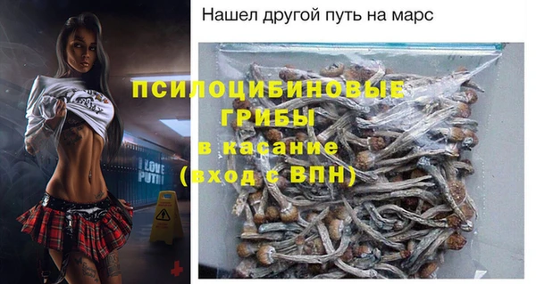 сатива Алексин