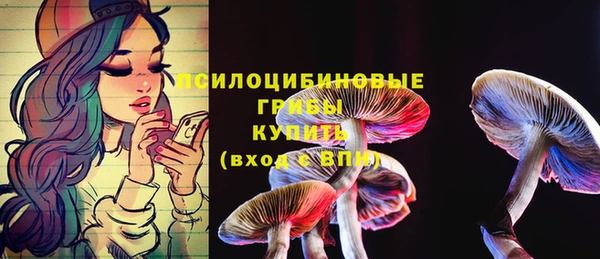 шишки Абинск