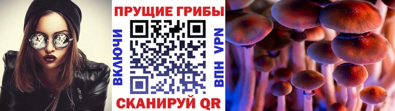 Галлюциногенные грибы Psilocybe  купить   Соликамск 